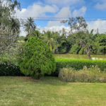 Kendal, St John, Barbados (60)