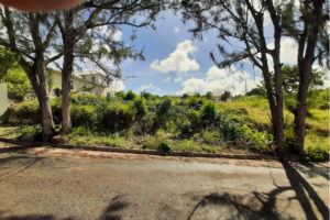 Land for Sale - Mount Brevitor, St Peter, Barbados