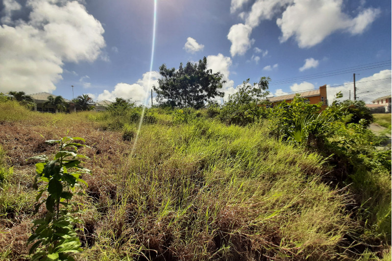 Land for Sale – Mount Brevitor, St Peter