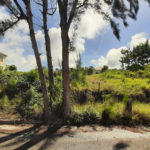 Land for Sale – Mount Brevitor, St Peter