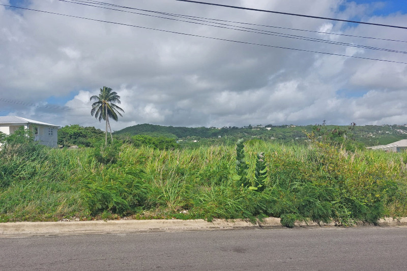 Land for Sale – 4B_5, Fortescue, St Philip, Barbados