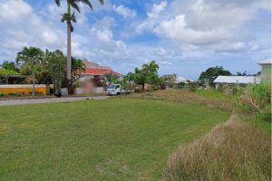 Land for Sale - Mount Wilton, St Thomas, Barbados