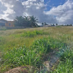 Land for sale-Fortescue St. Philip