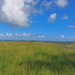 Land for sale-Fortescue St. Philip