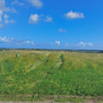 Land for sale-Fortescue St. Philip
