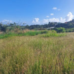 Land for sale-Fortescue St. Philip