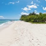 Condo for sale – Palm, Beach Barbados